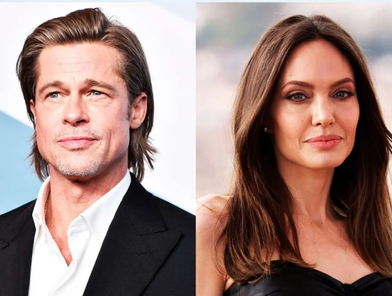 Brad Pitt vence processo contra Angelina Jolie  por vinícola na França