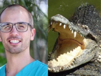 Médico é morto por crocodilo após cair em rio na Austrália