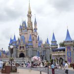 Assinante do streaming da Disney é impedido de processar o parque após esposa morrer