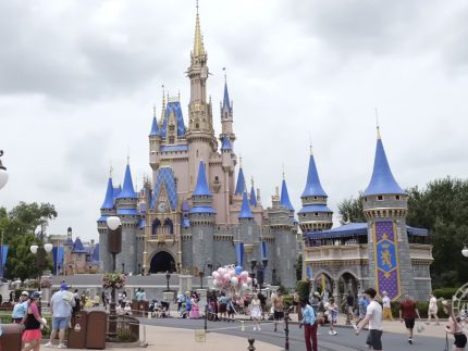 Assinante do streaming da Disney é impedido de processar o parque após esposa morrer