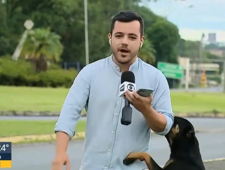 Cachorro rouba cena ao vivo durante jornal da TV Globo