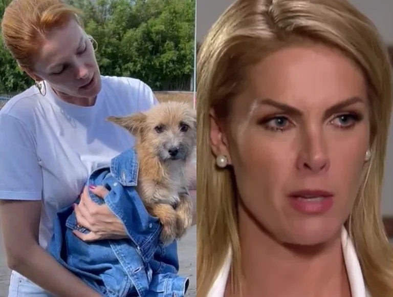 Cão que defendeu Ana Hickmann em agressão foi adotado contra a vontade de Alexandre