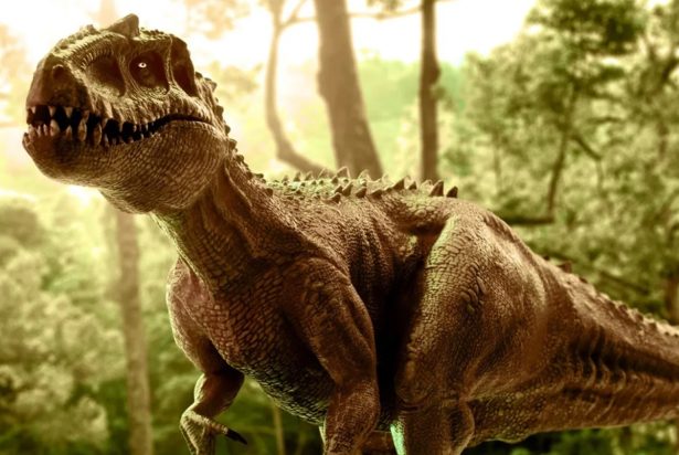 Pesquisadores encontram pegadas de dinossauros em Roraima: “Mais de 10 metros!”