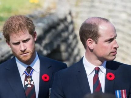 Autora revela detalhes sobre relação de Harry e William antes da morte da princesa Diana