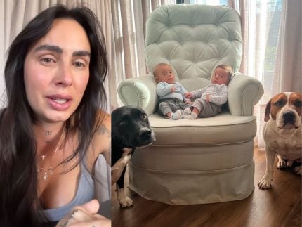 Influenciadora grávida diz o que fará com pitbulls de estimação após tirá-los de casa