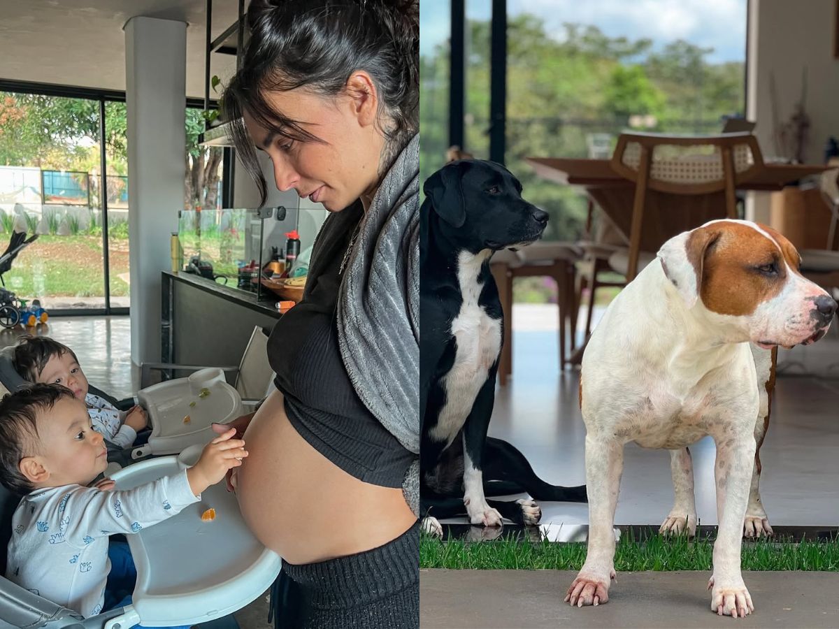 Reprodução/@claramaia_
