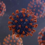 OMS afirma que Covid matou três vezes mais pessoas do que apontam registros oficiais