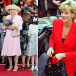 Rainha Camilla divide opiniões ao usar a icônica bolsa Lady Dior em evento oficial