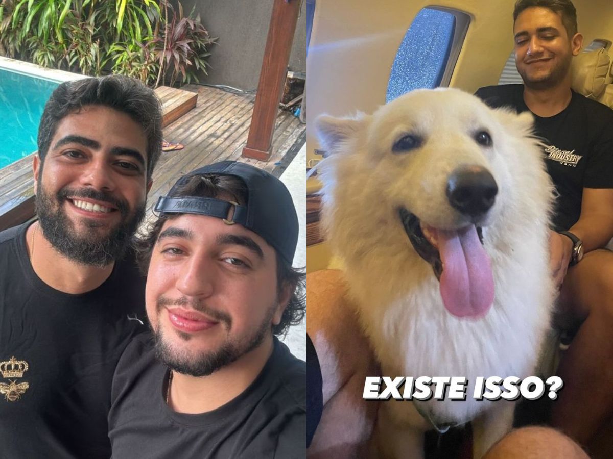 Henrique, Nattan, Juliano e um dos cães "sequestrados" (Reprodução Instagram/montagem)