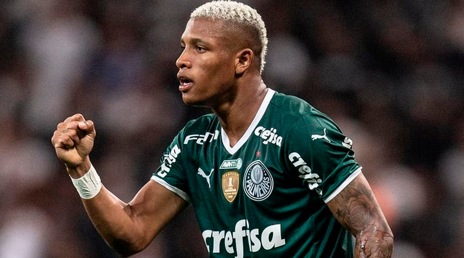 Danilo será jogador do Botafogo / Reprodução
