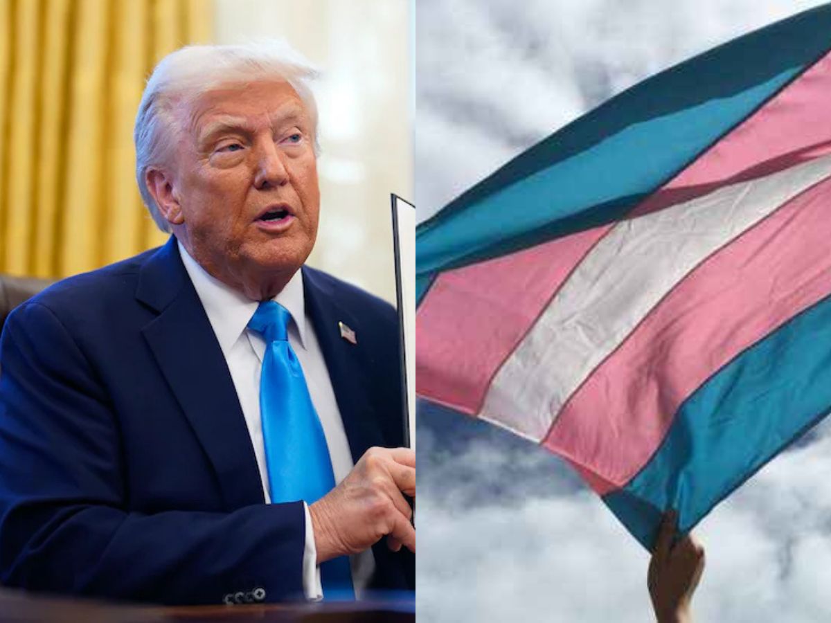 donald trump causa trans mundo