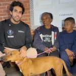 Tragédia em Juiz de Fora expõe perdas humanas e drama com animais