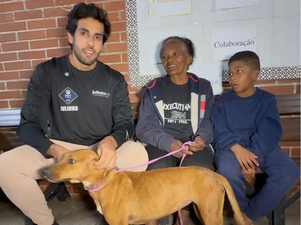 Tragédia em Juiz de Fora expõe perdas humanas e drama com animais