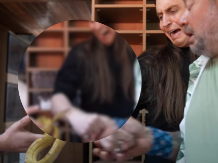 Influenciador é picado por cobra durante gravação de vídeo