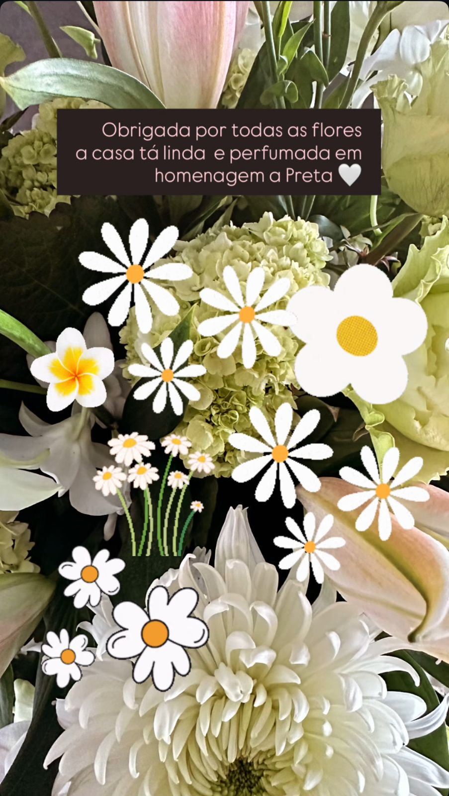 Reprodução/Instagram @floragil