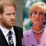 Príncipe Harry recebe mensagem “do céu” sobre Diana: “Investigue a morte da mamãe”