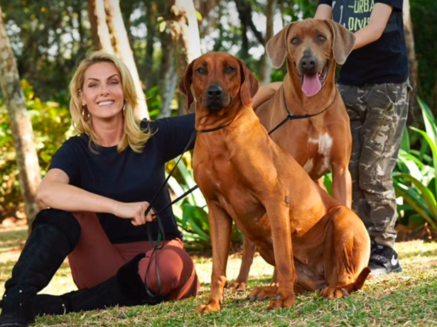 Ana Hickmann lamenta morte de sua cadela: “Saudade aperta o coração”