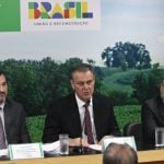 Brasil avança no controle da gripe aviária e pode declarar fim do surto em junho