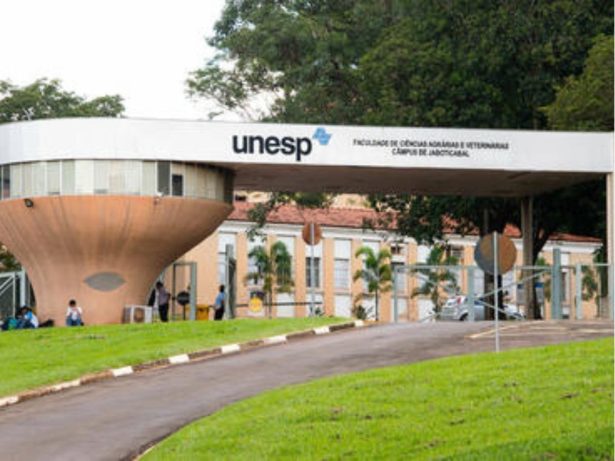 Calouros da Unesp são internados após trote com álcool e drogas