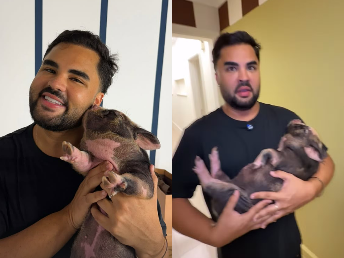 Reprodução Instagram Alvaro/ montagem 