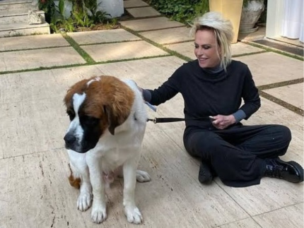 Cachorro de Ana Maria morre neste domingo; apresentadora posta mensagem de pesar