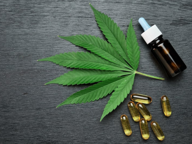 Anvisa proíbe venda de lotes de produtos de Cannabis e dipirona. Entenda!