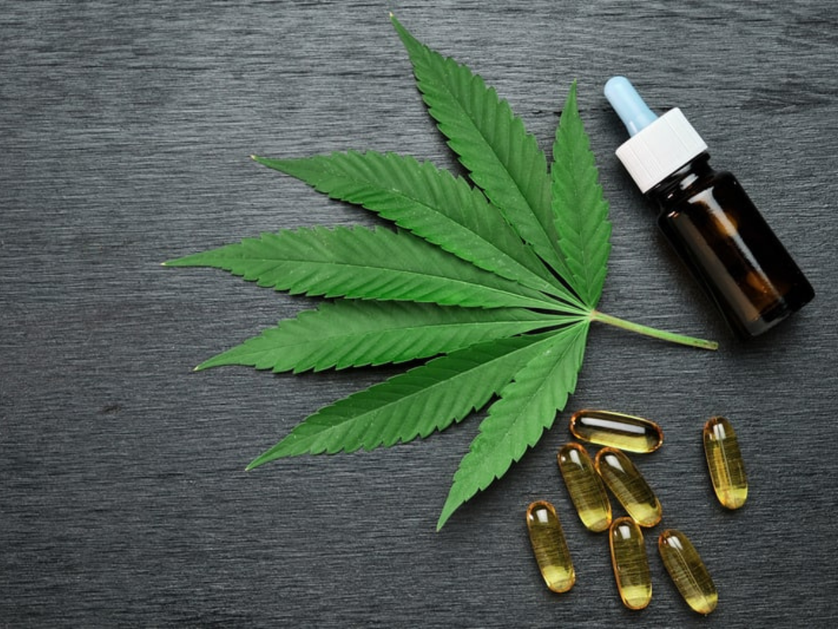 Reprodução cannabisesaude.com.br