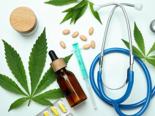 Cannabis medicinal: Anvisa publica regras para produção destinada a três grupos