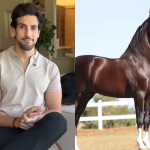 Cavalo de R$ 12 milhões morre após comer ração contaminada por erro de fábrica