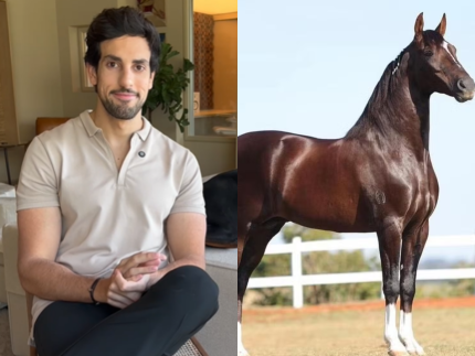 Cavalo de R$ 12 milhões morre após comer ração contaminada por erro de fábrica