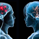 Neurologista explica as diferenças cognitivas entre homens e mulheres