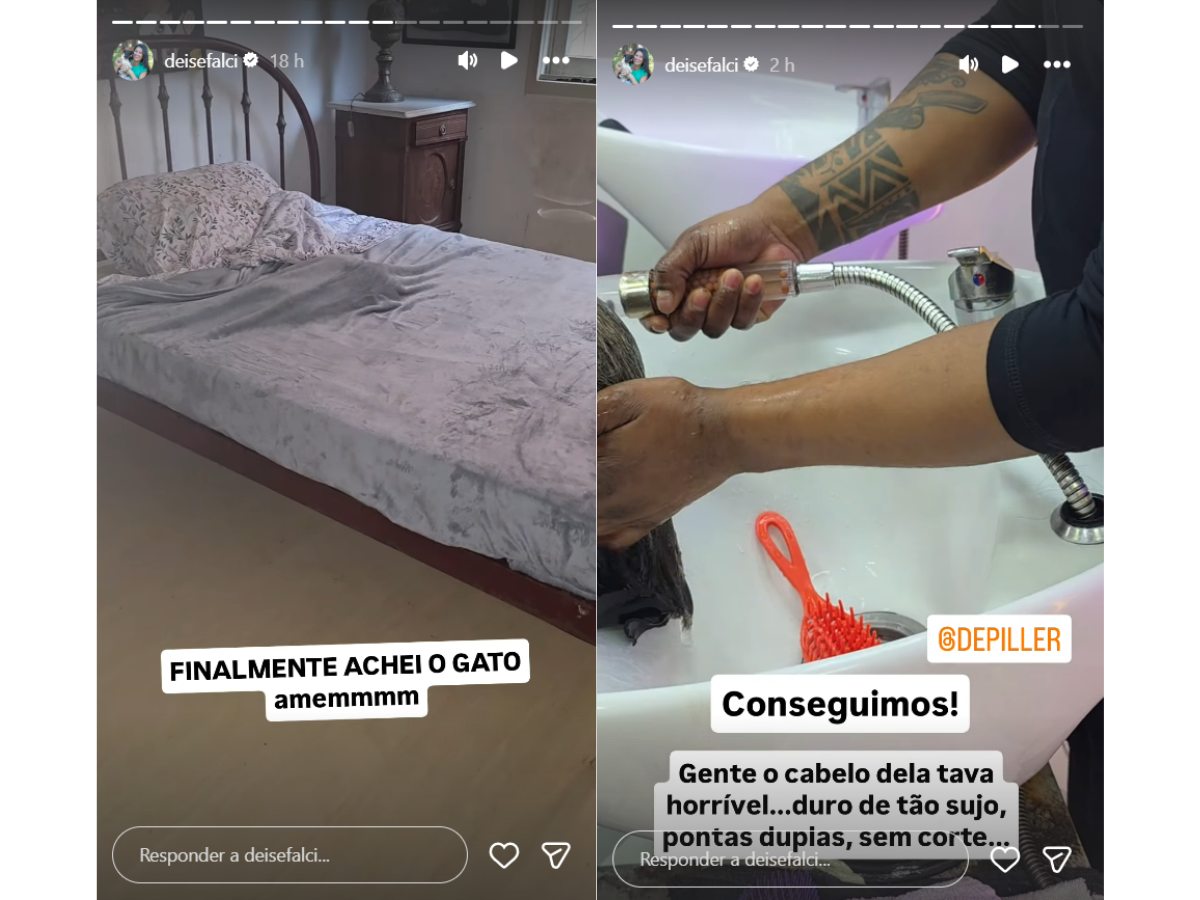 Reprodução Instagram  Deise Falci/ montagem  