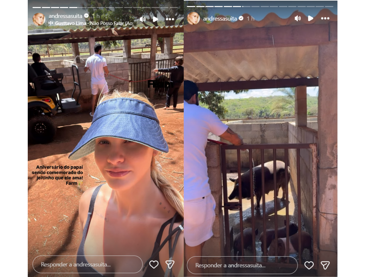 Reprodução Instagram Andressa Suita/ montagem Reprodução Instagram Andressa Suita/ montagem