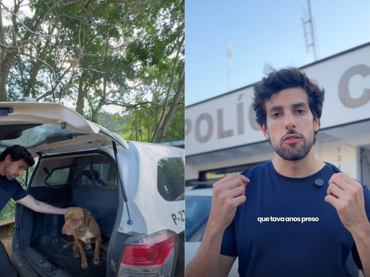 Reprodução/ montagem 