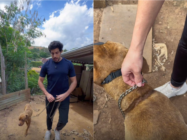 Julinho Casares resgata cachorro após anos vivendo acorrentado
