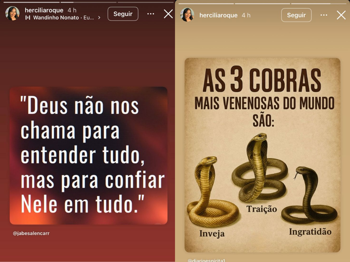 Publicações de Hercília Roque - Foto: Reprodução