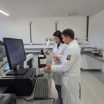 Universidade da Paraíba desenvolve método para detectar bebidas adulteradas e metanol