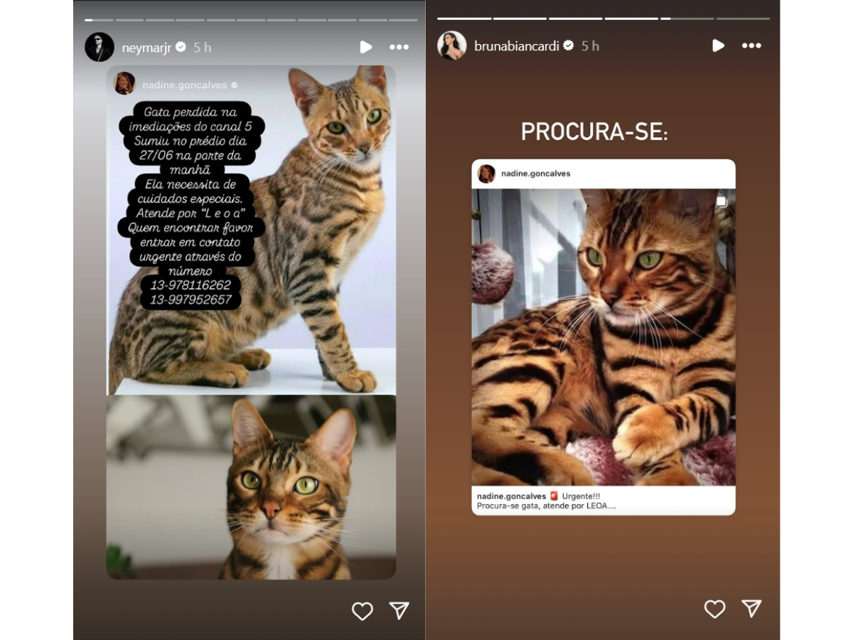 Reprodução Instagram/ montagem 
