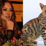 Nas redes sociais, mãe de Neymar faz apelo por gata desaparecida