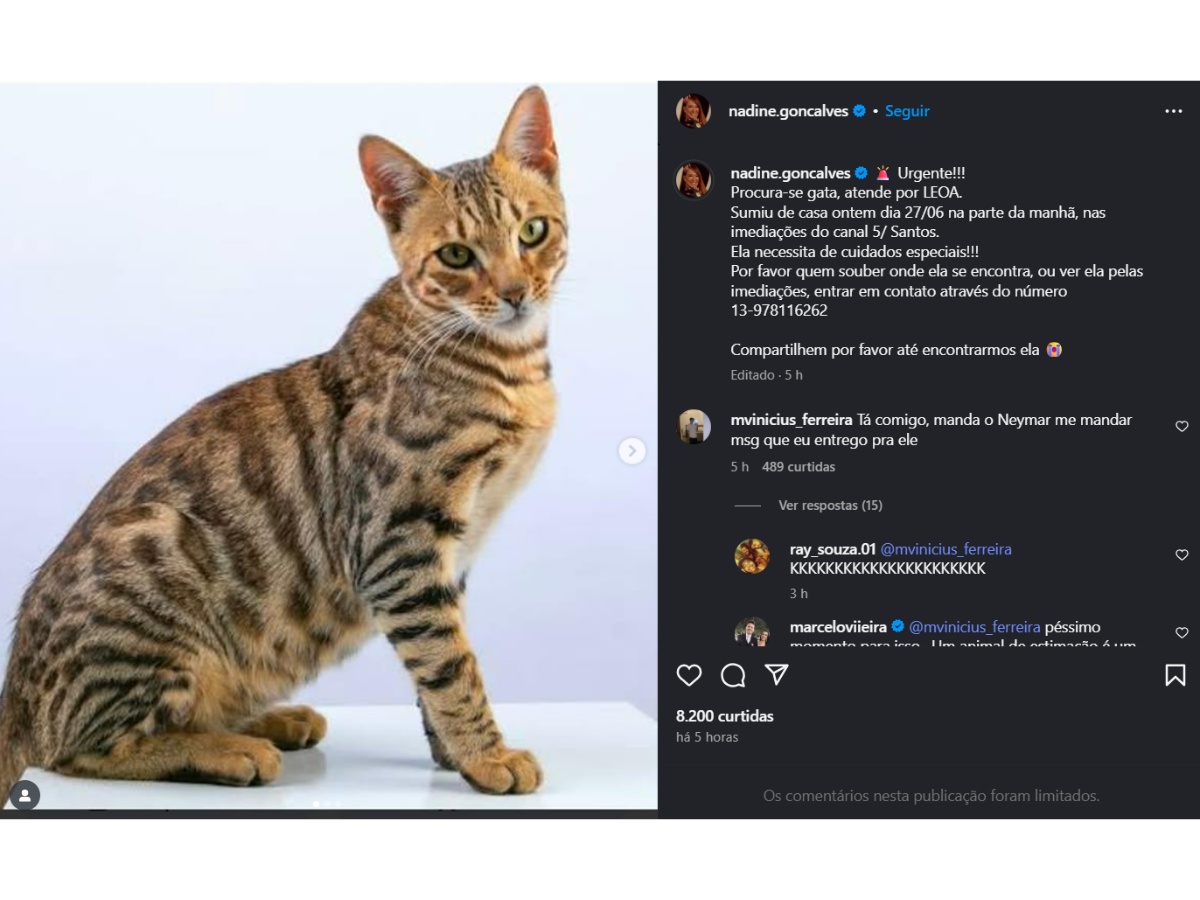 Reprodução Instagram