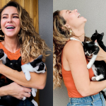 Mãe de pet: Paolla Oliveira aumenta a família adotando 11 gatos e 7 cachorros