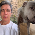 Márcio Garcia atualiza estado de saúde do cachorro diagnosticado com câncer
