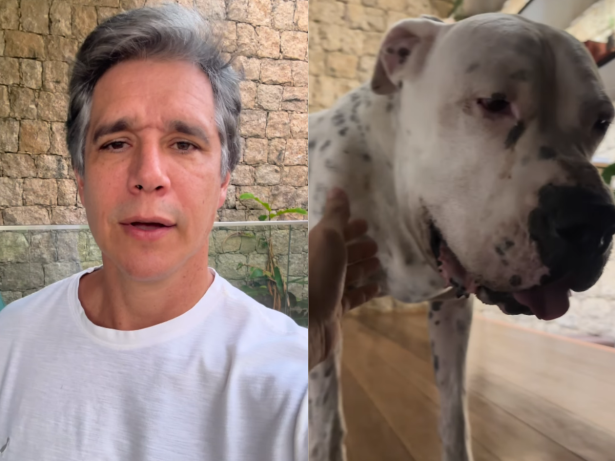 Márcio Garcia atualiza estado de saúde do cachorro diagnosticado com câncer