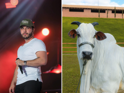 Murilo Huff investe no agro e vira sócio de matriz de raça de vaca avaliada em R$ 17 milhões