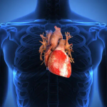 ANS avalia ampliar acesso a tratamento moderno e menos invasivo para pacientes cardiopatas