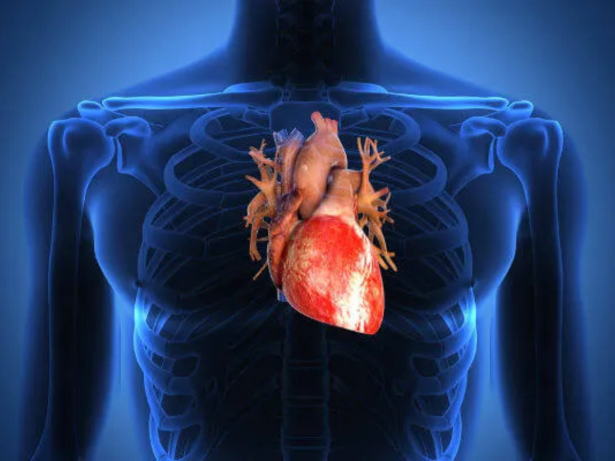 ANS avalia ampliar acesso a tratamento moderno e menos invasivo para pacientes cardiopatas
