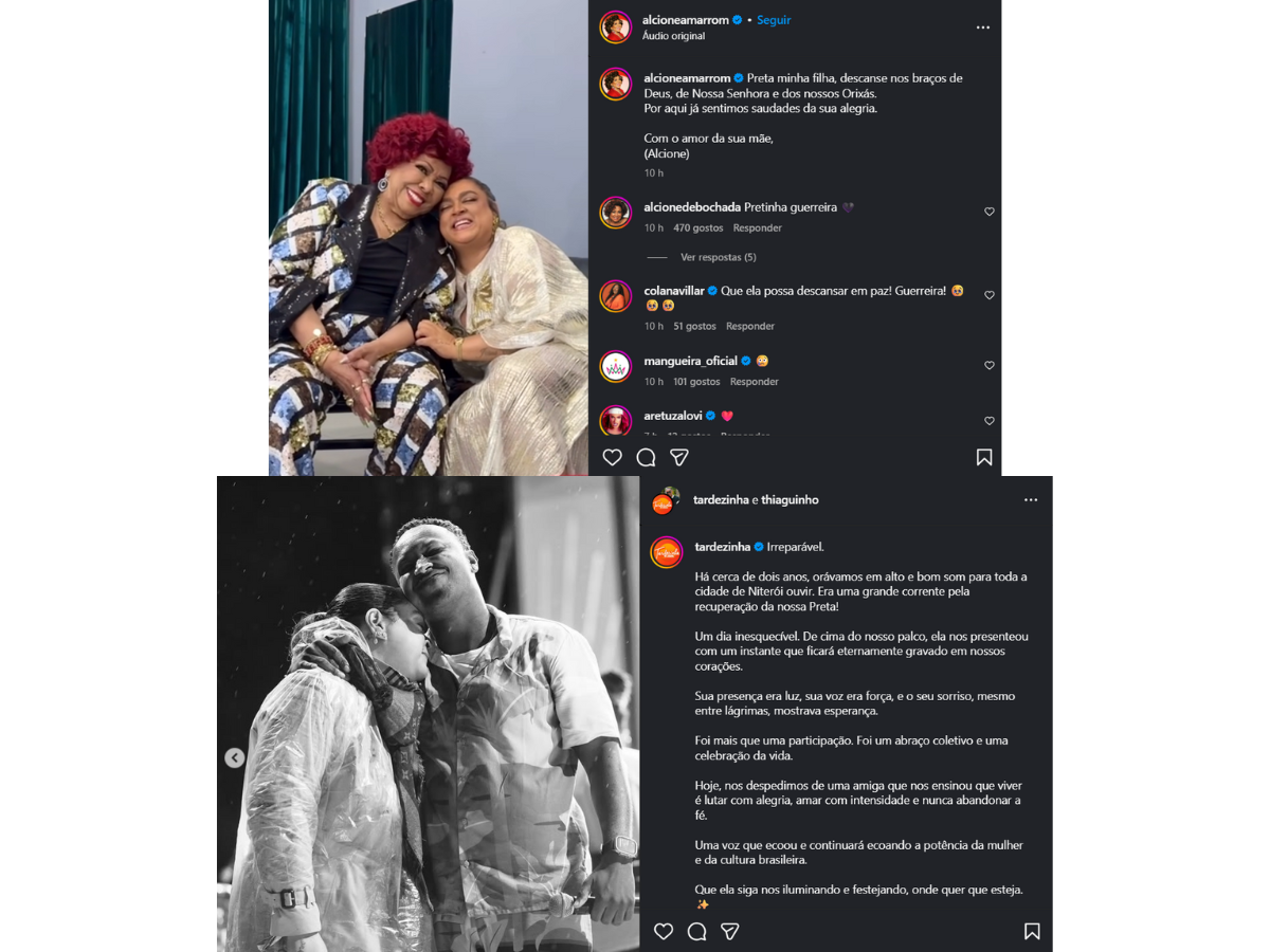 Reprodução Instagram @alcionemarrom e @thiaguinho/ montagem 
