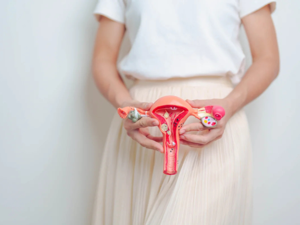 SUS oferece novos tratamentos para pacientes com diagnóstico de endometriose. Entenda!