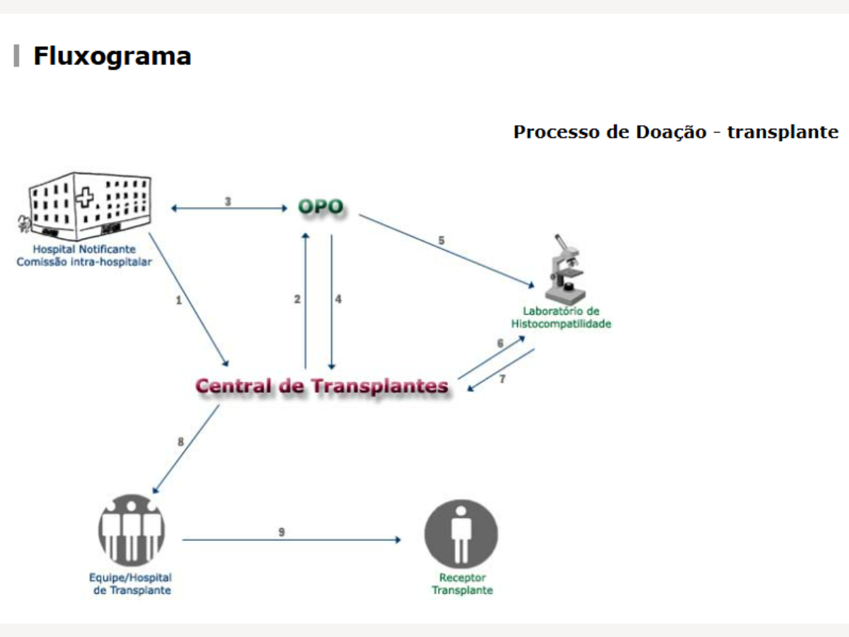 Reprodução saude.sp.gov.br