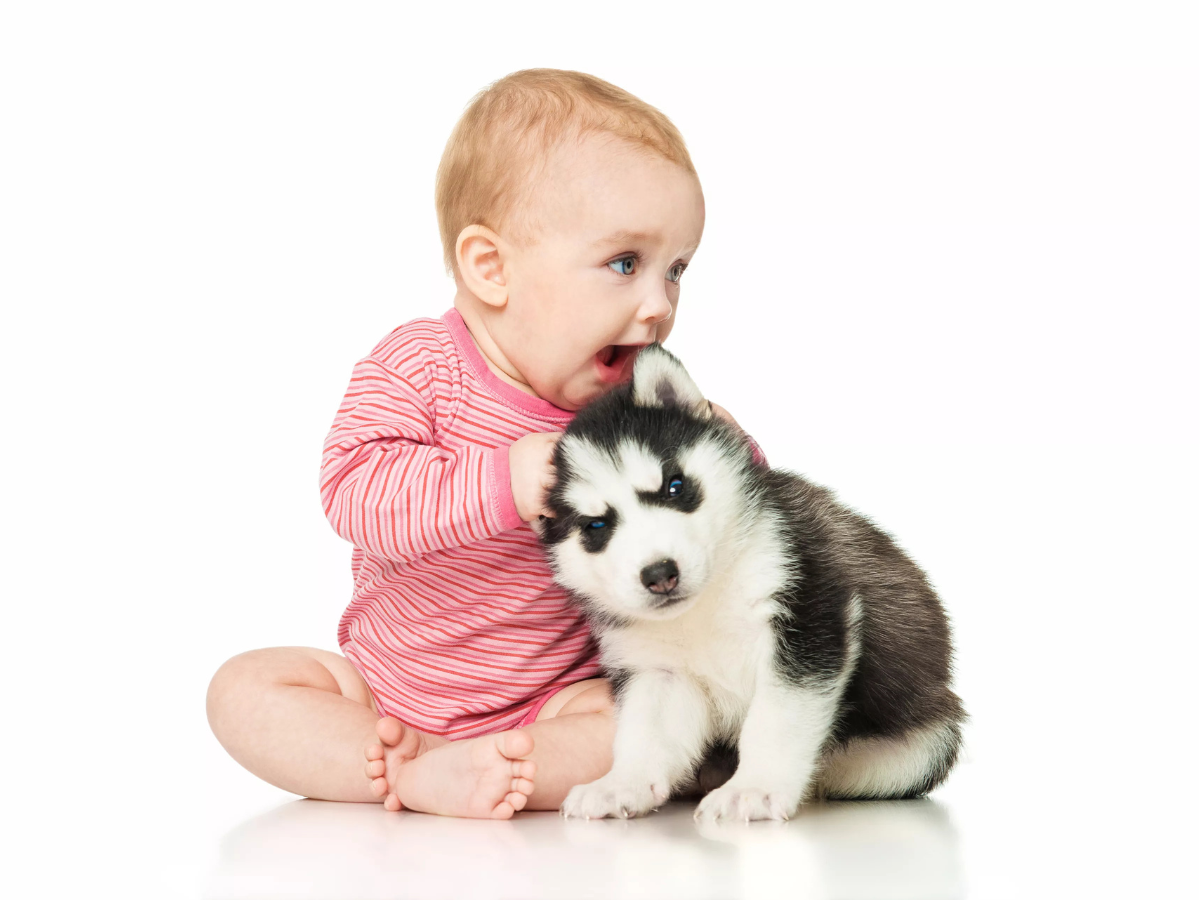 Reprodução ThinkStock
